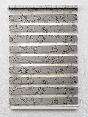 Preview Blankenburg 10.903e 2