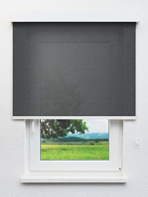 Brück 40.544e Fensteransicht
