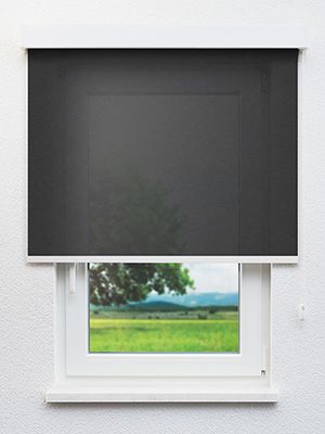 Buchen 40.494e Fensteransicht