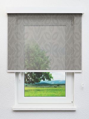 Frankenberg 30.995e Fensteransicht