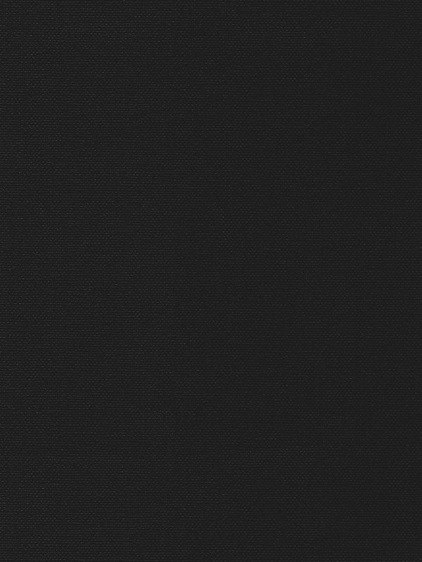 Detailansicht Rollo Sceptrum 5508.6405