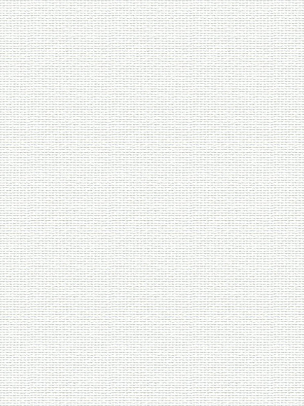 Detailansicht Asellus 102525L