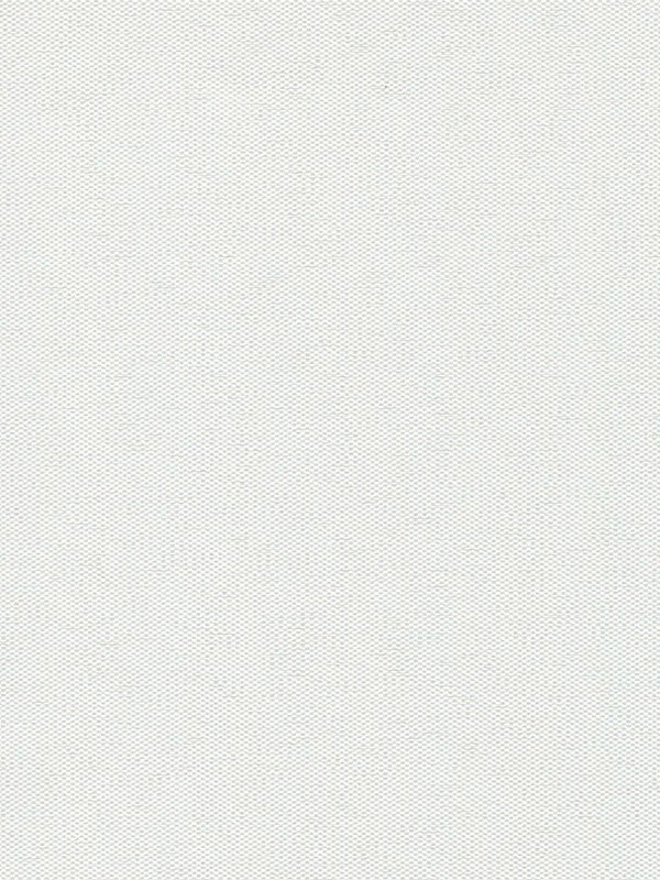 Detailansicht Asterope 202792L