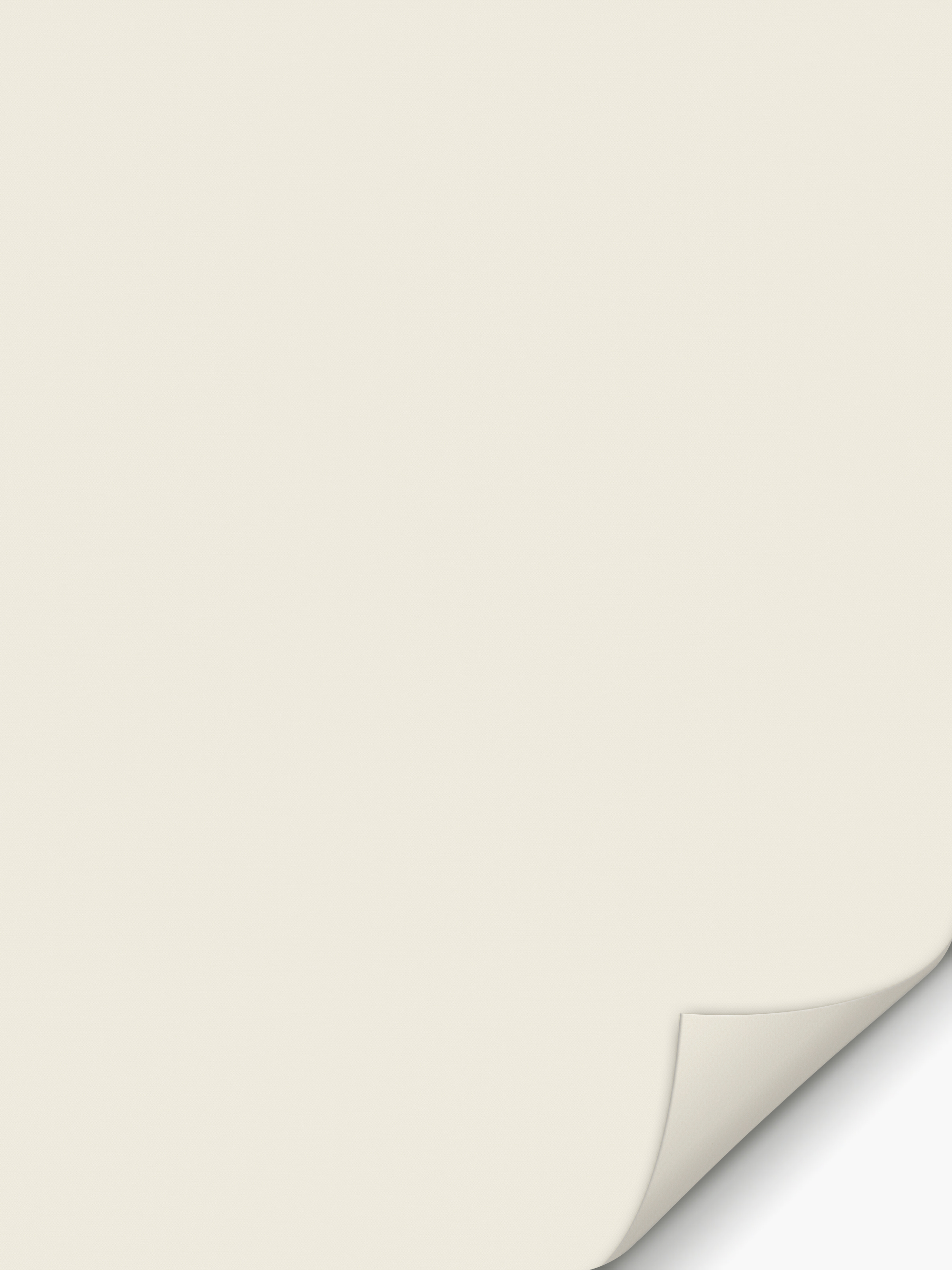 Detailansicht Verdunkelungsrollo Miram 5501.5601