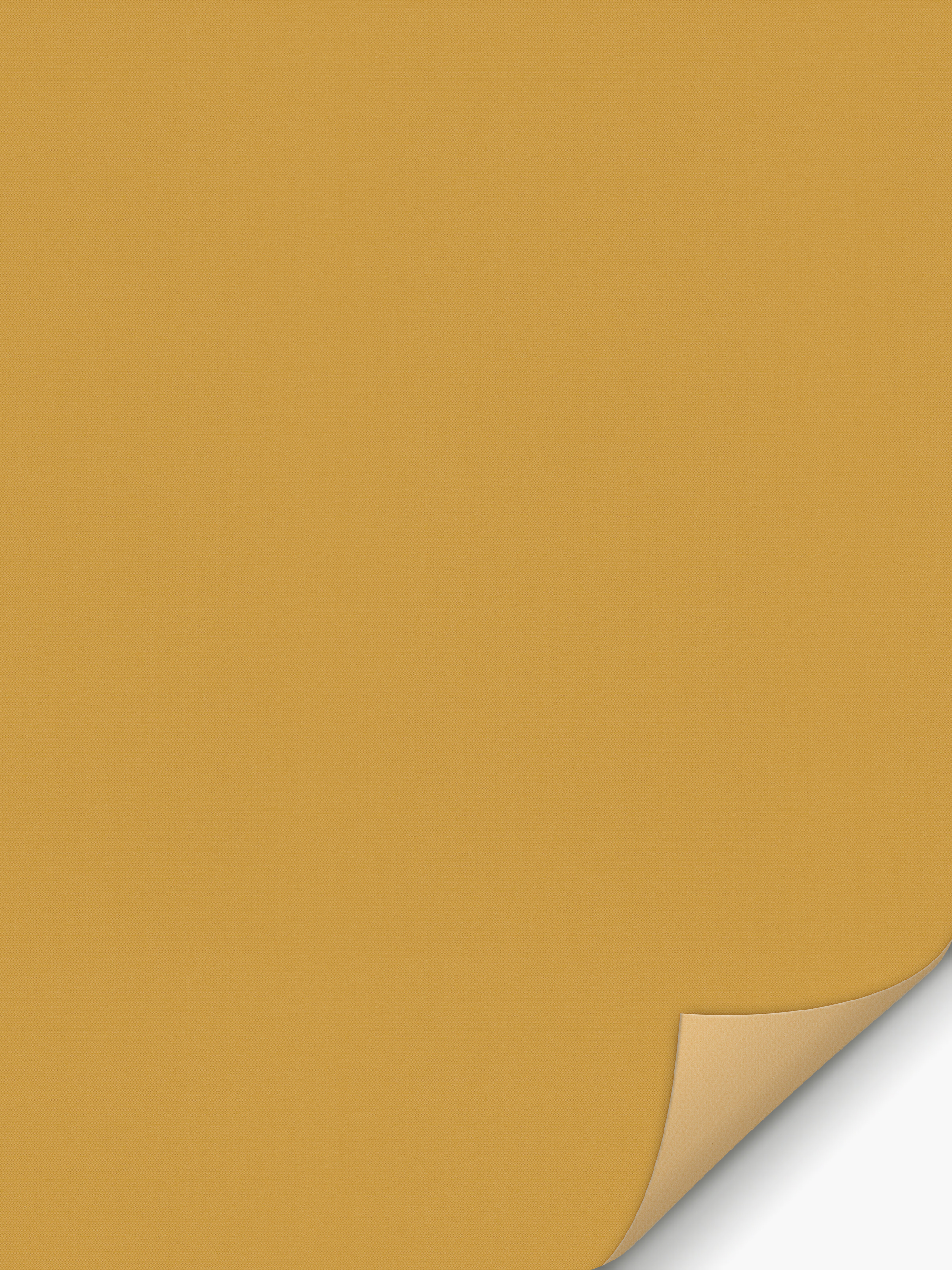 Detailansicht Verdunkelungsrollo Miram 5503.5606