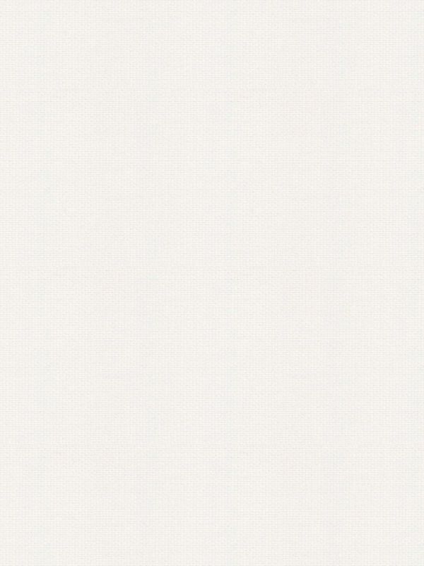 Detailansicht Rollo Felis 5501.5206