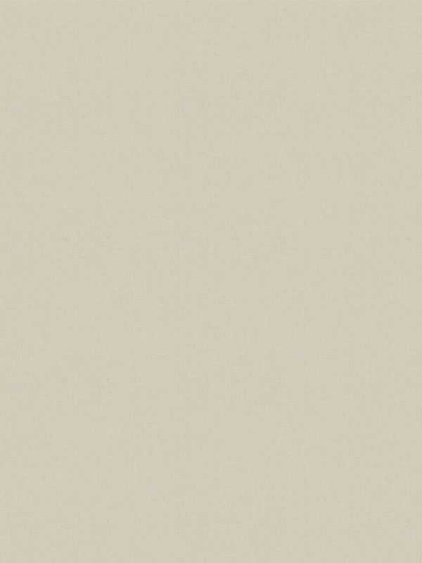 Detailansicht Rollo Felis 5501.5208