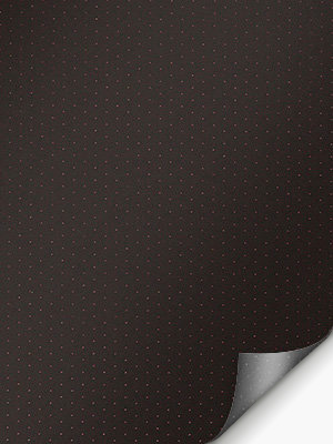 Egeln 50.009e Detailansicht