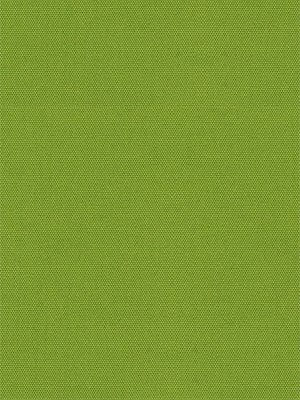 Rollo Mira 5509.2518 Detailansicht